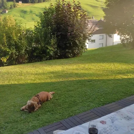 Wildhaus Ferienwohnung *