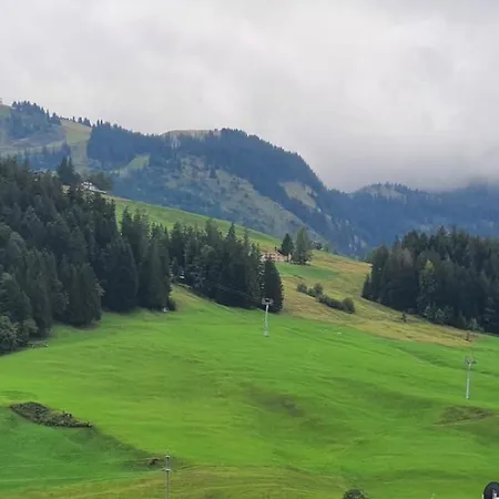 Apartament Wildhaus Ferienwohnung