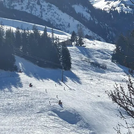 Wildhaus Ferienwohnung Appartement