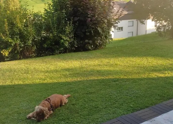 Wildhaus Ferienwohnung *