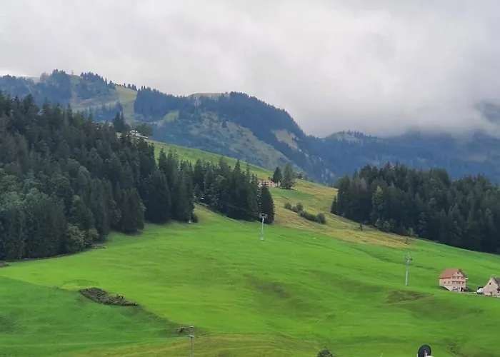 Apartament Wildhaus Ferienwohnung