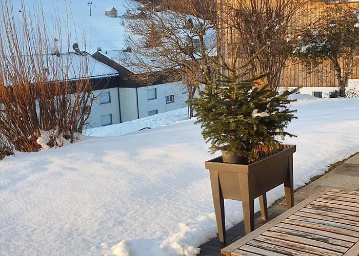 Wildhaus Ferienwohnung Apartament