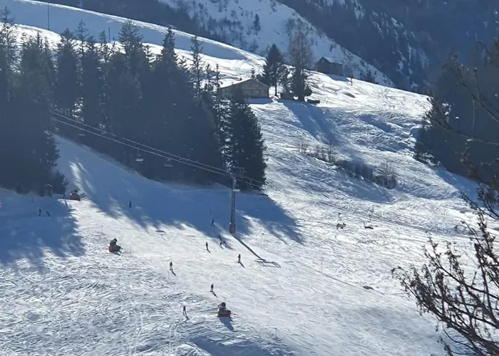 Wildhaus Ferienwohnung Appartement